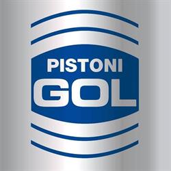 Pistoni Gol SAS Di Colombo Marco & C.
