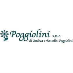 Poggiolini