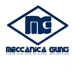 Meccanica Giunti