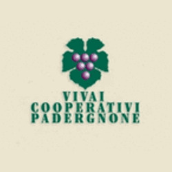 Padergnone Vivai Viticoli Cooperativi