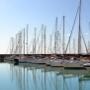 Barche a Vela
