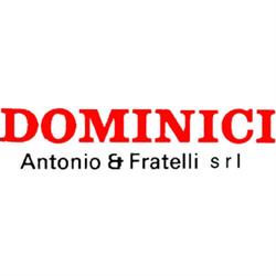 Dominici Costruzioni Meccaniche