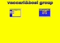 Vaccari & Bosi SRL