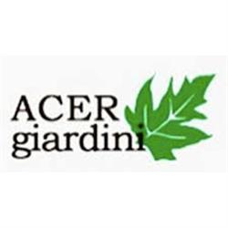 Acer Giardini