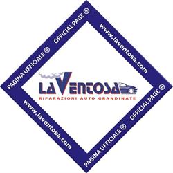 La Ventosa® s.r.l. - Auto grandinate - Ammaccature in genere