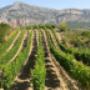 # 7