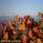 Autunno in Langa