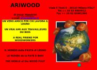 Ariwood Di Oscar Maestrini