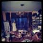 studio atelier fdnfashion