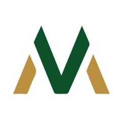 Violi macchine S.r.l.