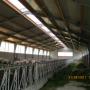 strutture metalliche
