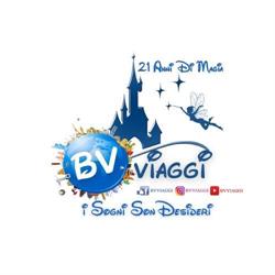 Bv Viaggi