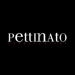 Luigi Pettinato