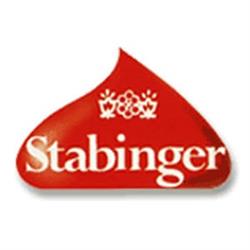 Stabinger SRL