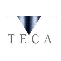 Teca Consulting