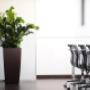 Piante per Interno