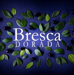 Bresca Dorada