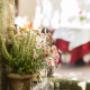 Stimmungsbild Ansitz Plantitscherhof