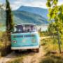 Ansitz Plantitscherhof - im Weinberg bei der VW Bulli Wein Tour