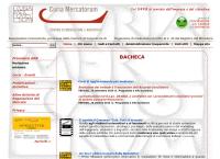 Curia Mercatorum