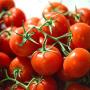 Concimi liquidi per agricoltura
