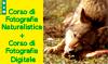 Corsi di Fotografia on-line