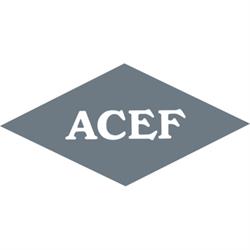 A.C.E.F. SRL