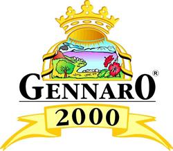 GENNARO 2000 di MAURO MANSI & C. snc