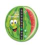 Magnetic room thermometer