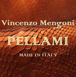 Vincenzo Mengoni Pellami