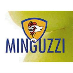Minguzzi