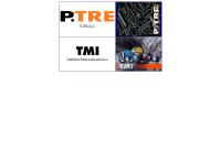 T.M.I. TRAFILERIA MANZONI ITALO srl