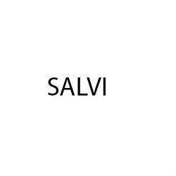DSFOODSERVICE SALVI di SALVI Paolo e c sas