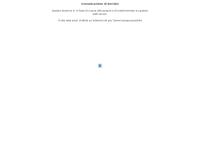 SEBINO COLORI snc di PASSARINI P. SERMASI P. & OSTI VLADIMIRO