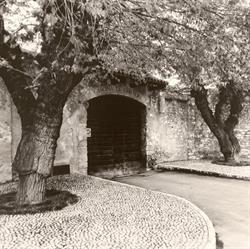 Az.agr.Le Chiusure