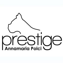 Prestige Boutique