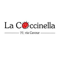 La Coccinella 0-16 SRL