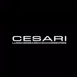 Cesari Pelletteria