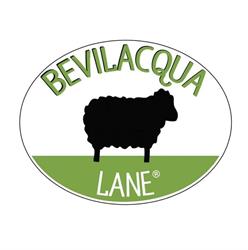 Bevilacqua Lane Srl