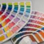 Gallery Professionale