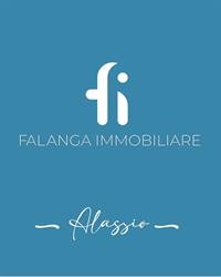 Falanga Immobiliare