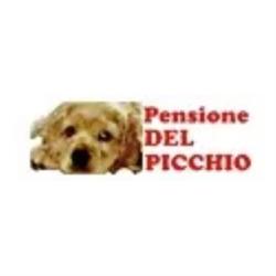 Allevamento e Pensione del Picchio