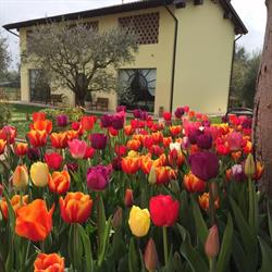 Agriturismo Bitturelli