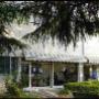 Azienda