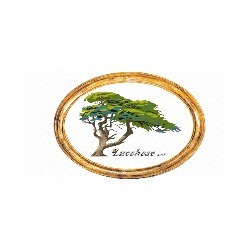 Lucchese S.r.l.