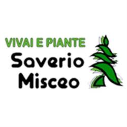 Saverio Misceo Vivai e Piante