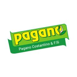 Pagano Costantino