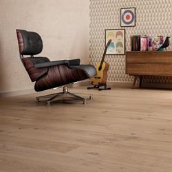 Show Room Magnifico SRL