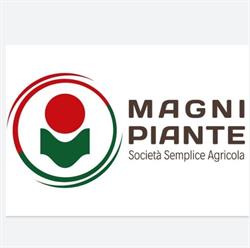 Magni Piante