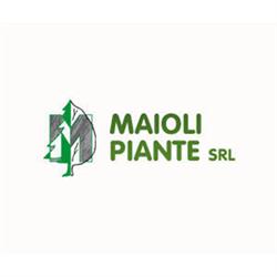 Maioli Piante
